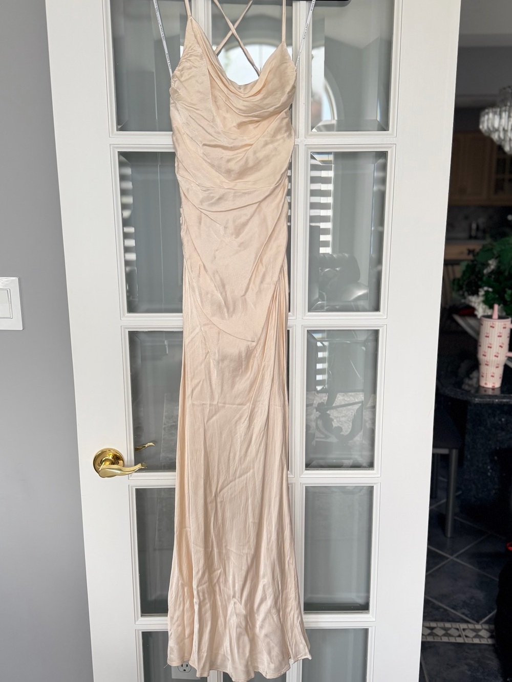 Shona Joy Blush Beige Satin Cowl-Neck Maxi Dress